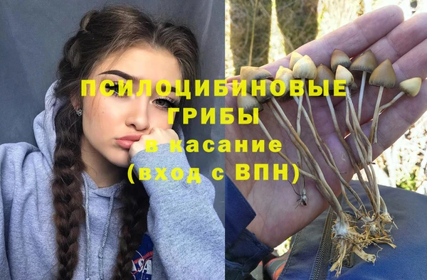 МДМА Алексеевка