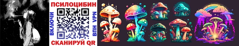 Псилоцибиновые грибы Cubensis  Кирсанов 